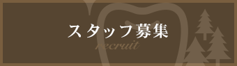 スタッフ募集